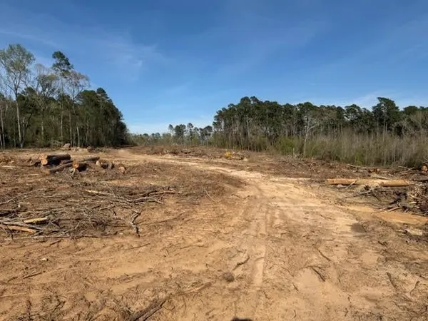 $237,600 | 1955 County Road 201, Center, TX 75935