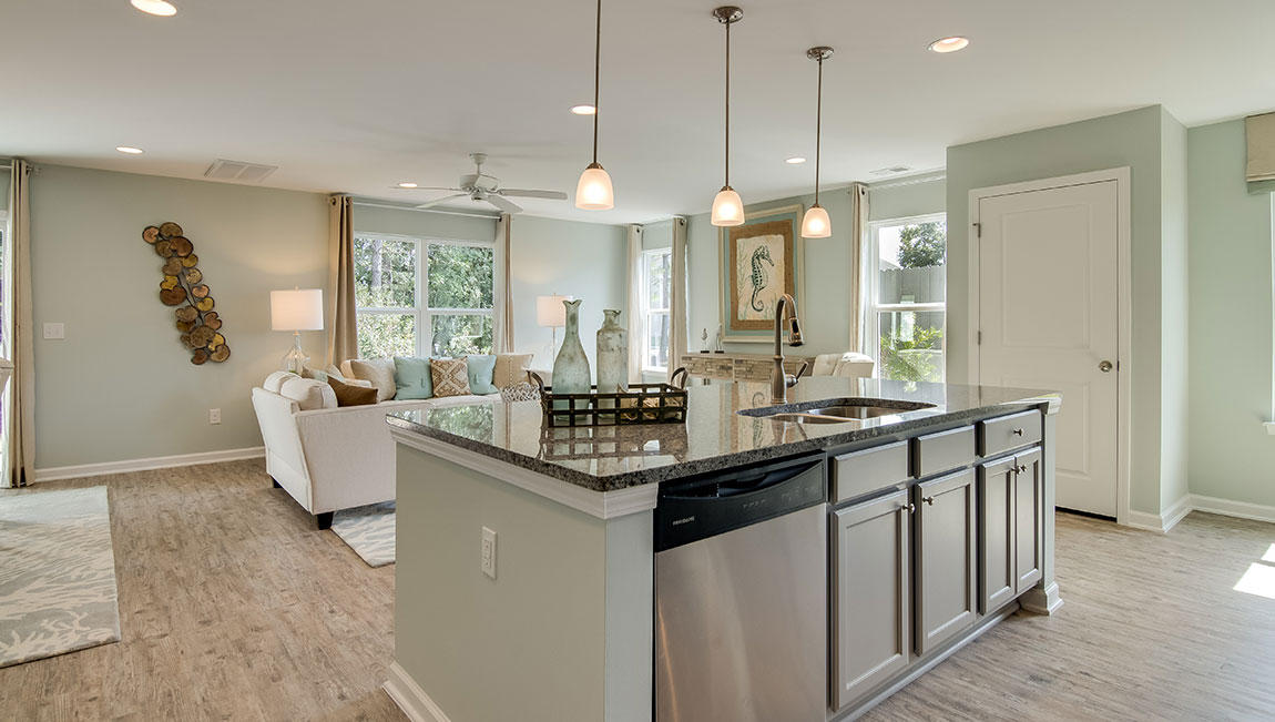 236 Cypress Marsh Road Moncks Corner, SC 29461 - Photo 33 of 59 View from Kitchen