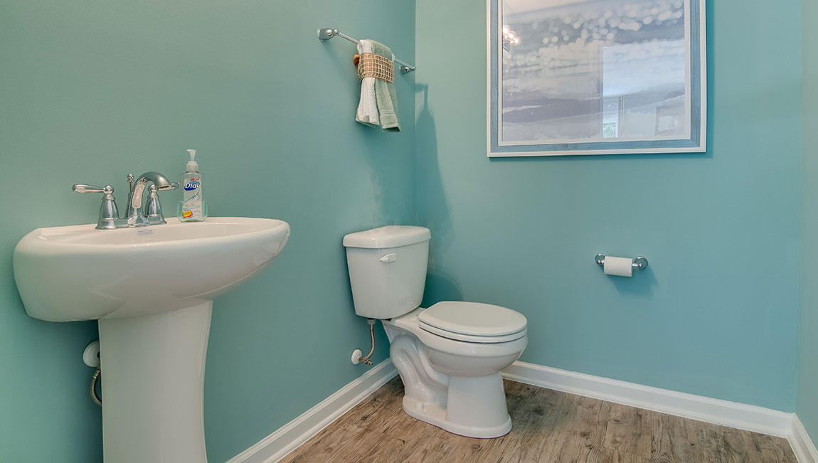 236 Cypress Marsh Road Moncks Corner, SC 29461 - Photo 41 of 59 Powder Room
