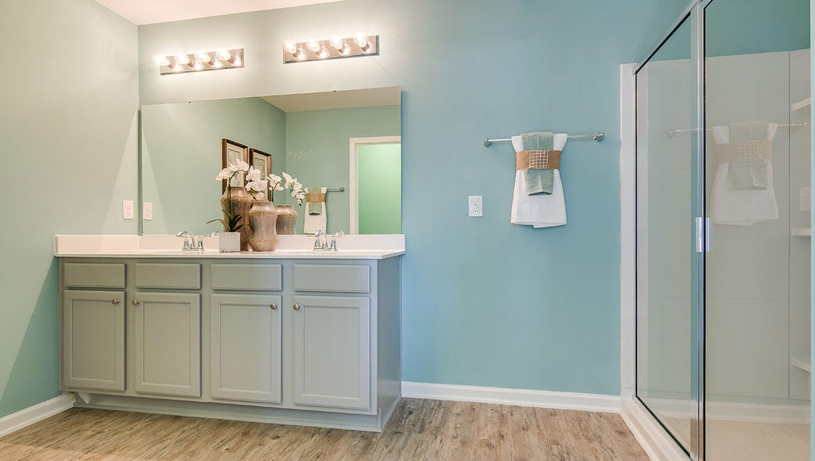 236 Cypress Marsh Road Moncks Corner, SC 29461 - Photo 52 of 59 Double Vanity Sinks
