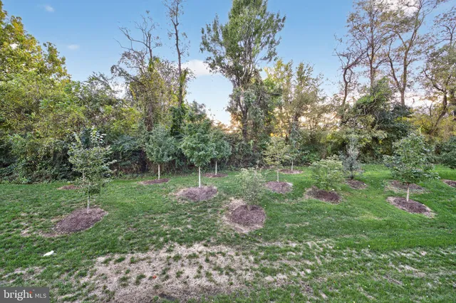 a picture of a wall with white wall painting