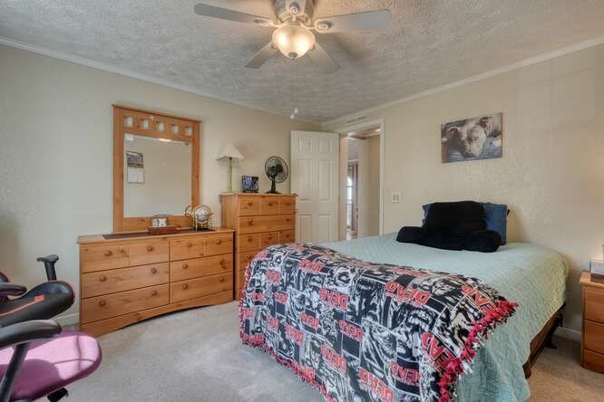 3595 Harshaw Road Murphy, NC 28906 - Photo 22 of 51