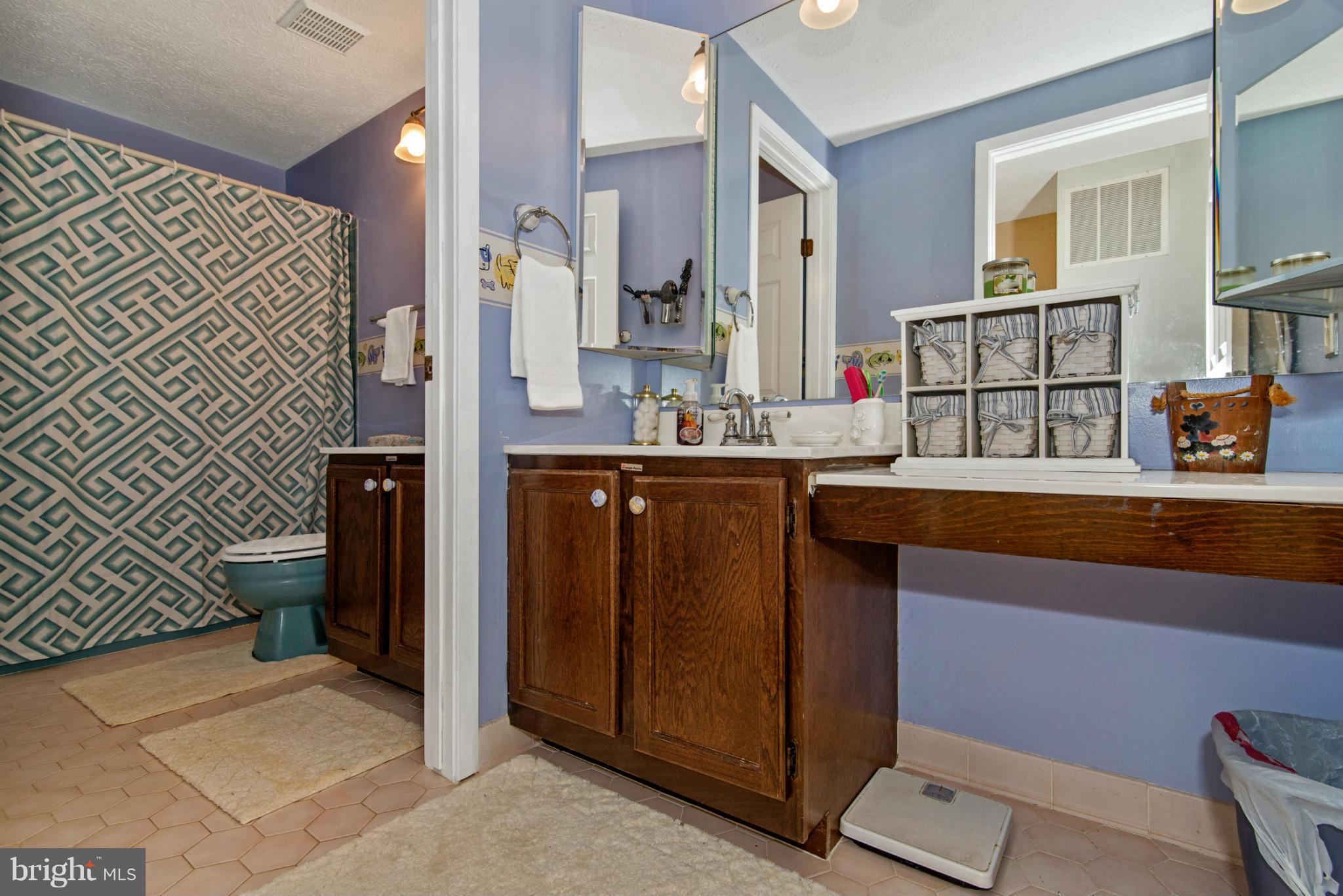 585 Pumphouse Road Frederick, MD 21703 - Photo 22 of 30 Bath - Upstairs