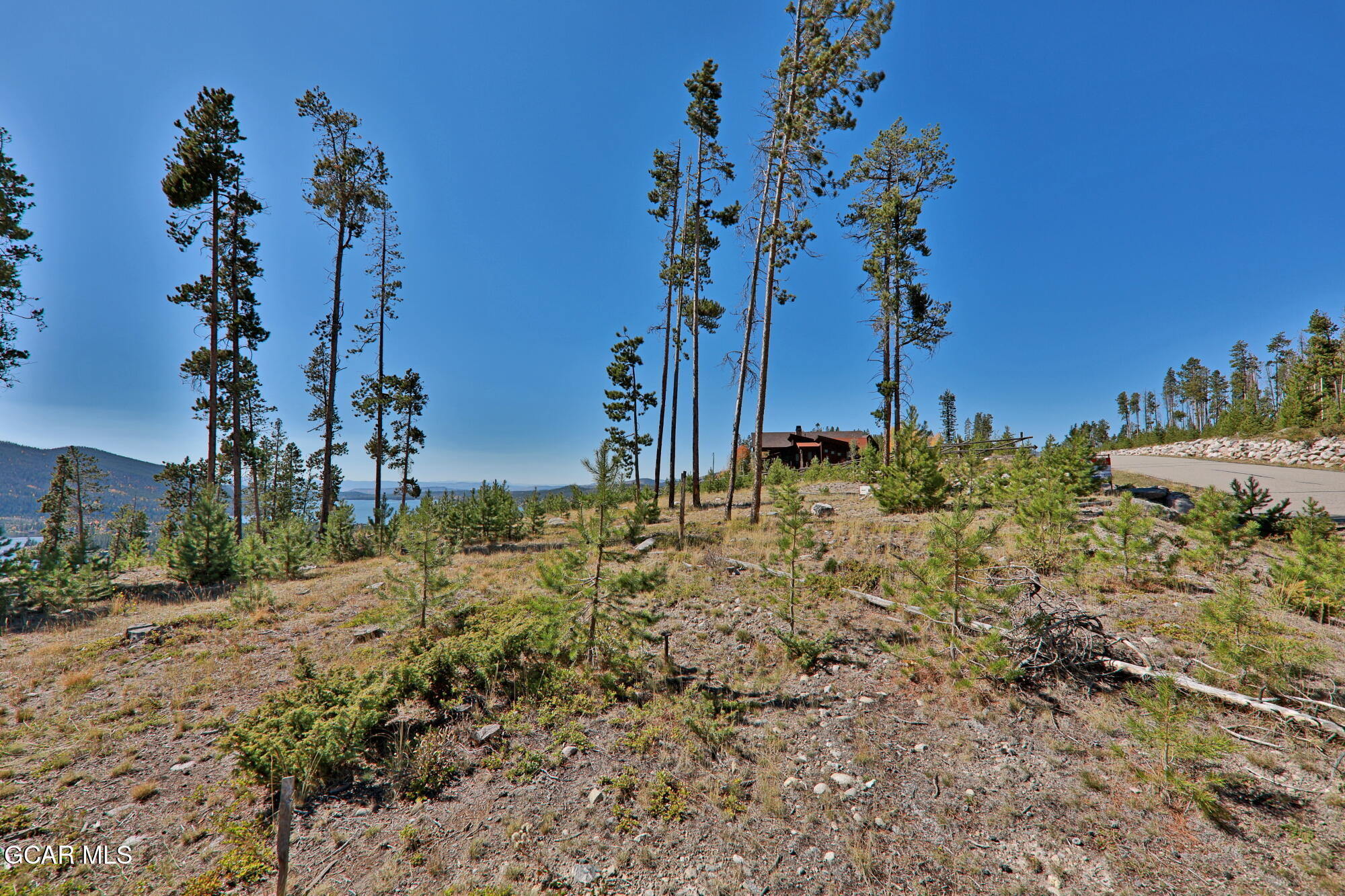 530 Old Tonahutu Ridge Road Grand Lake, CO 80447 - Photo 11 of 22 a view of a yard with plants and trees