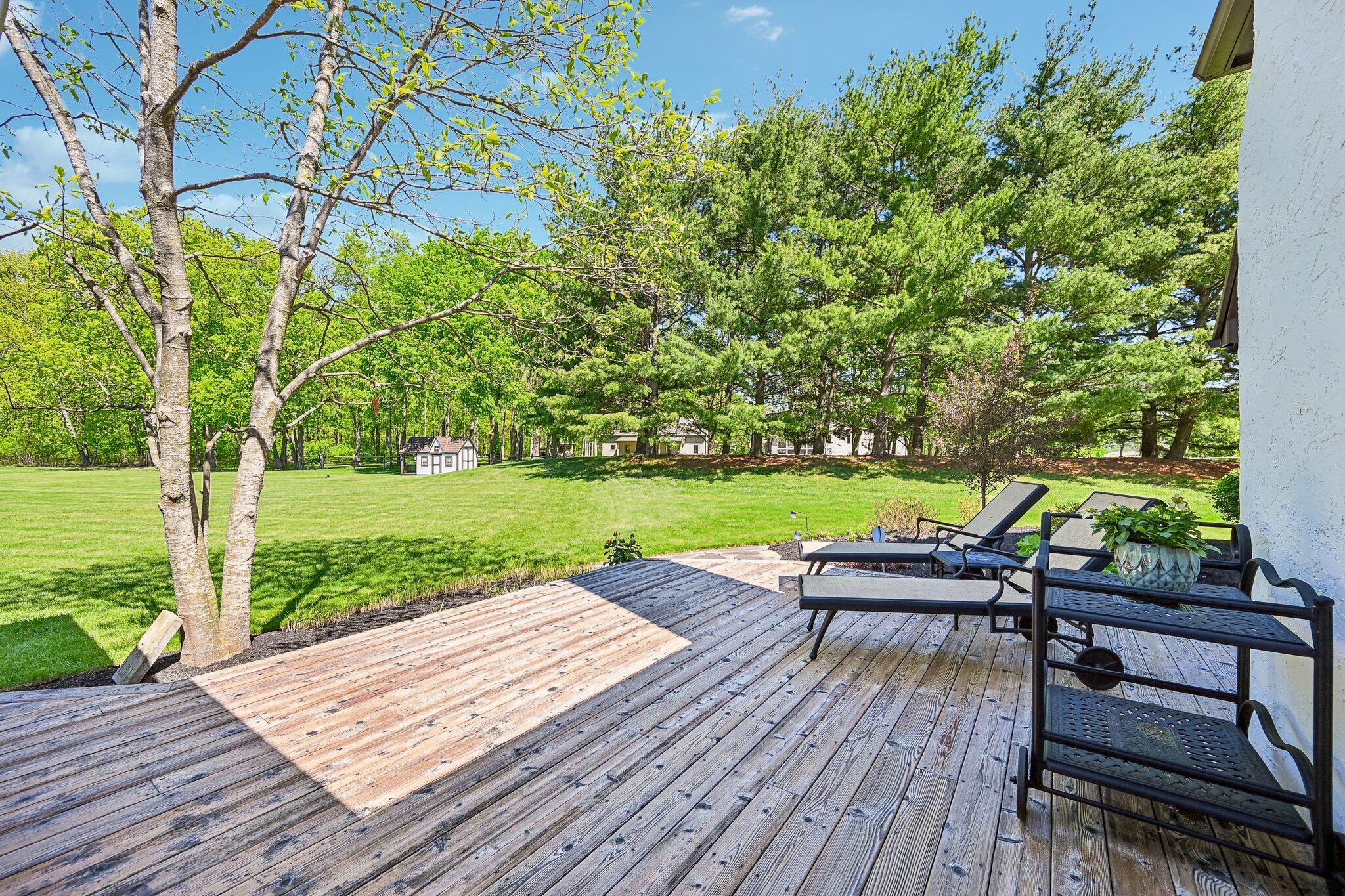 8310 Dublin Road Delaware, OH 43015 - Photo 41 of 62 Deck