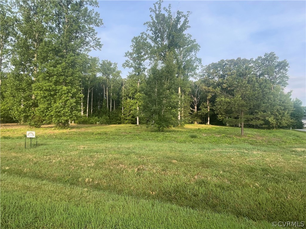 737 Rainbow Ridge Bumpass, VA 23024 - Photo 44 of 45 a view of outdoor space with trees all around