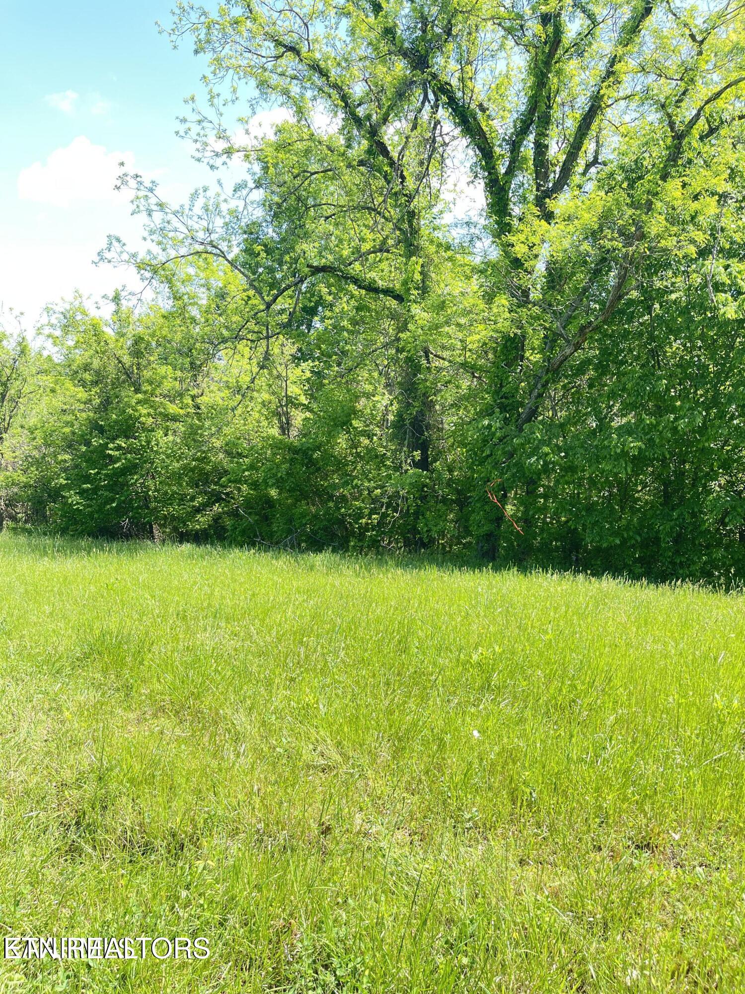Bob Wright Road Maynardville, TN 37807 - Photo 7 of 15 lot 17 3