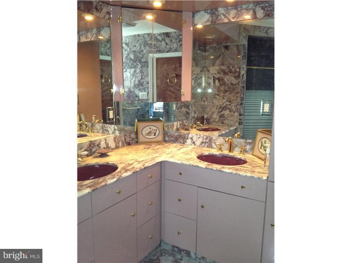 1205 Sandringham Road Bala Cynwyd, PA 19004 - Photo 14 of 24 Master Bathroom