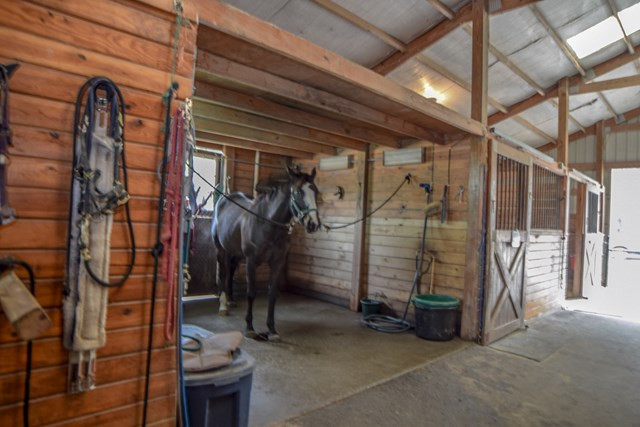 215 Colbert Bridge Road Windsor, SC 29856 - Photo 16 of 22
