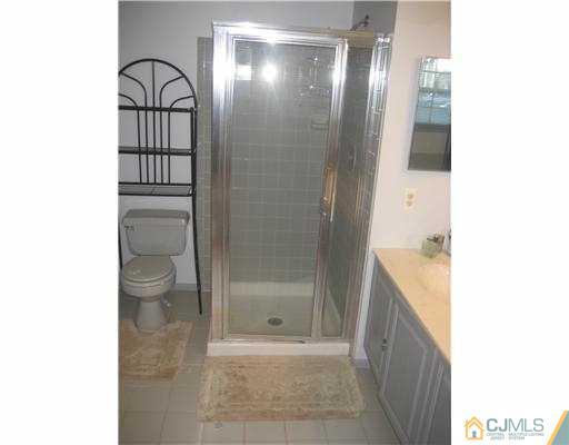 202 Nebula Road Piscataway, NJ 08854 - Photo 9 of 14 a bathroom with a shower and a sink