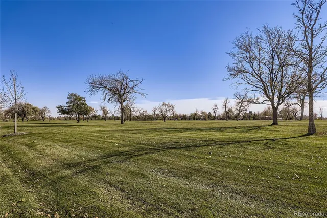 a view of a field with an trees