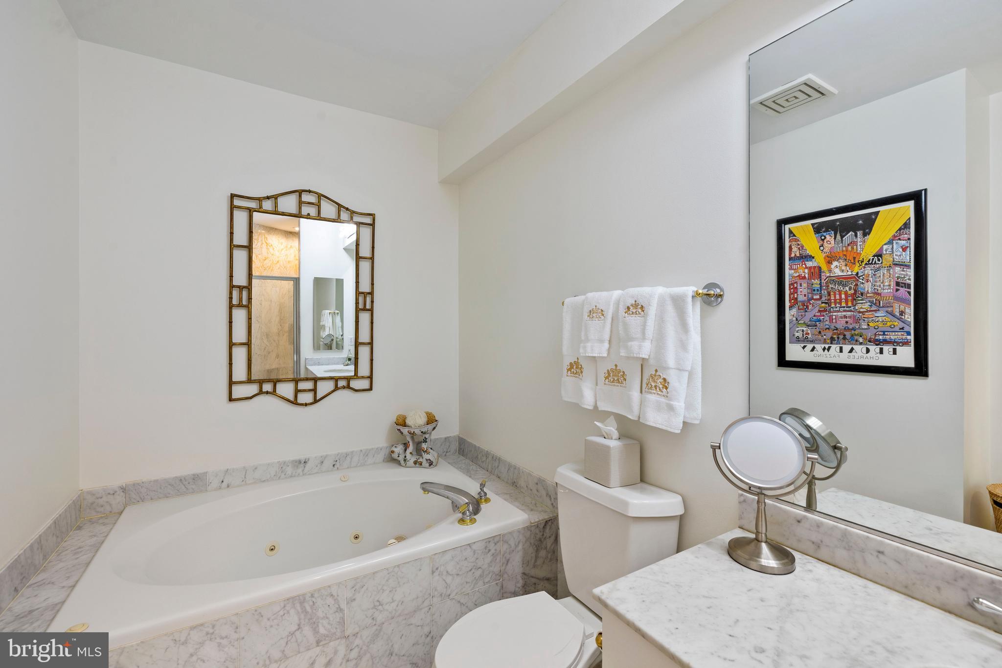 100 Harborview Drive, Unit 1708 Baltimore, MD 21230 - Photo 25 of 39 Soaking Tub with Jetts