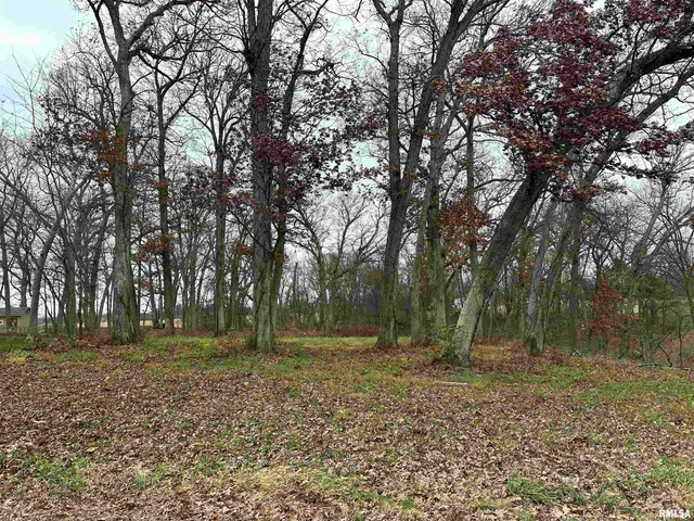 $59,500 | 5216 227th St Court North, Port Byron, IL 61275