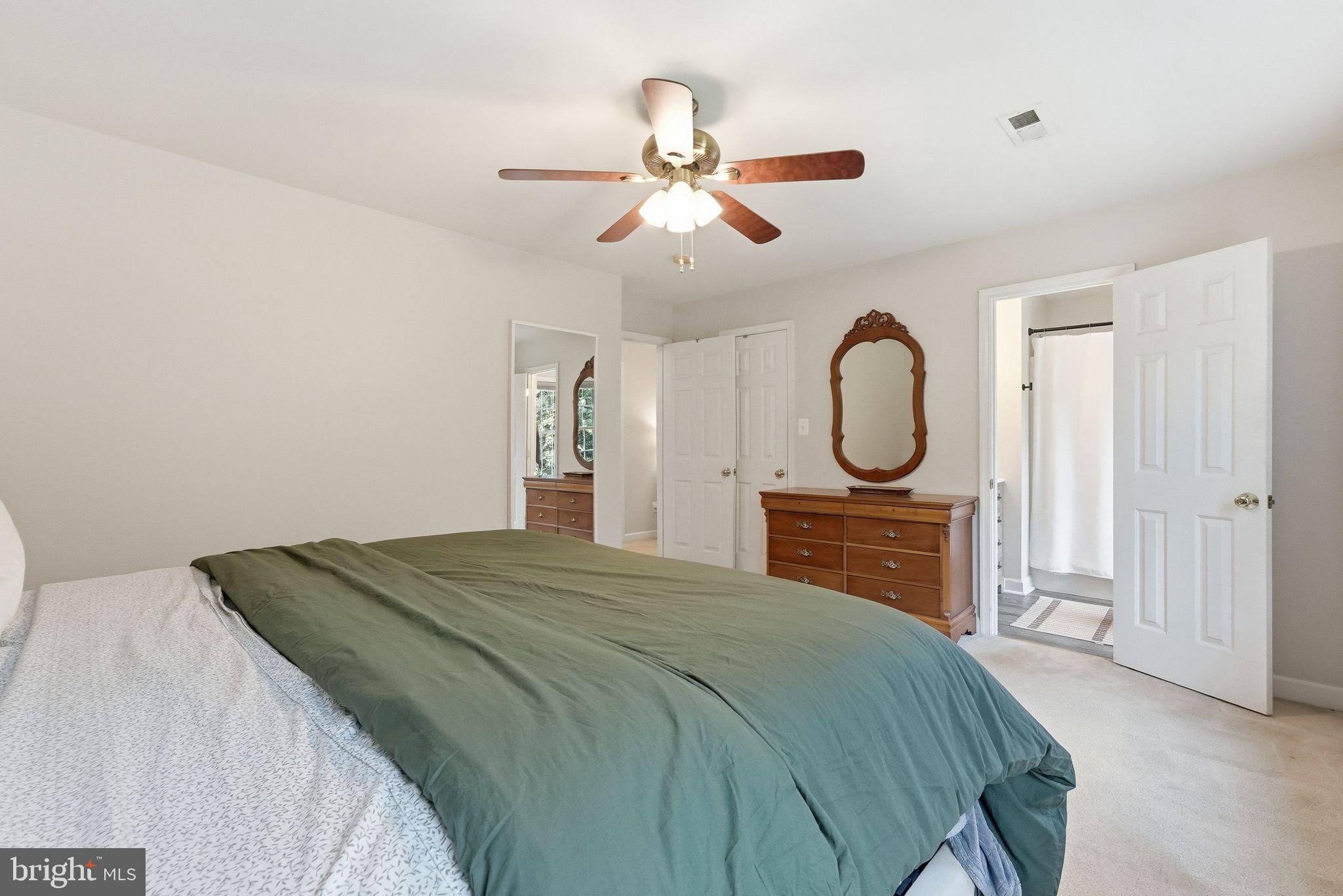 18198 Springs Road Jeffersonton, VA 22724 - Photo 41 of 80 Primary Bedroom