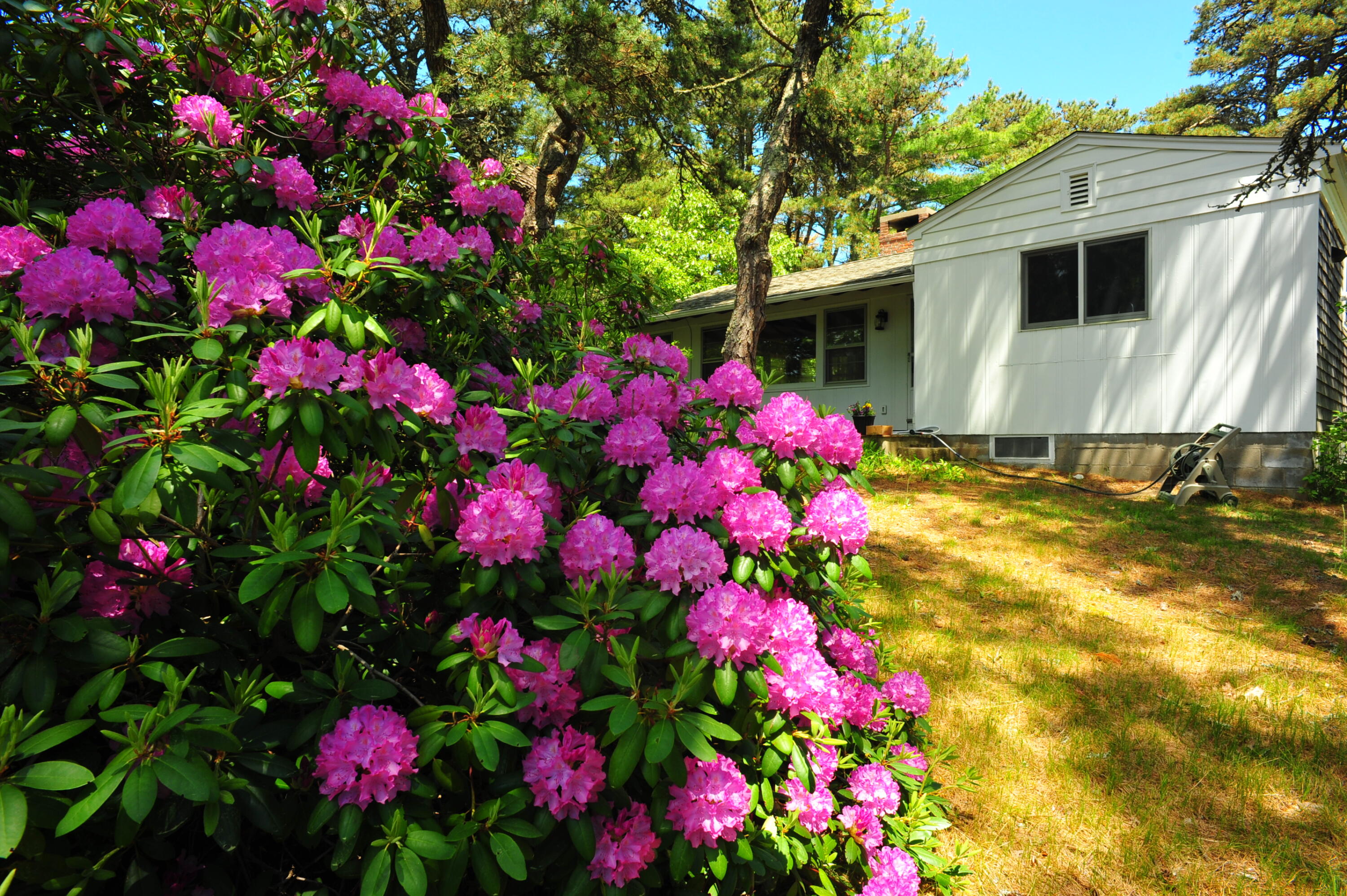 45 Pier Road Wellfleet, MA 02667 - Photo 22 of 38 000_2676