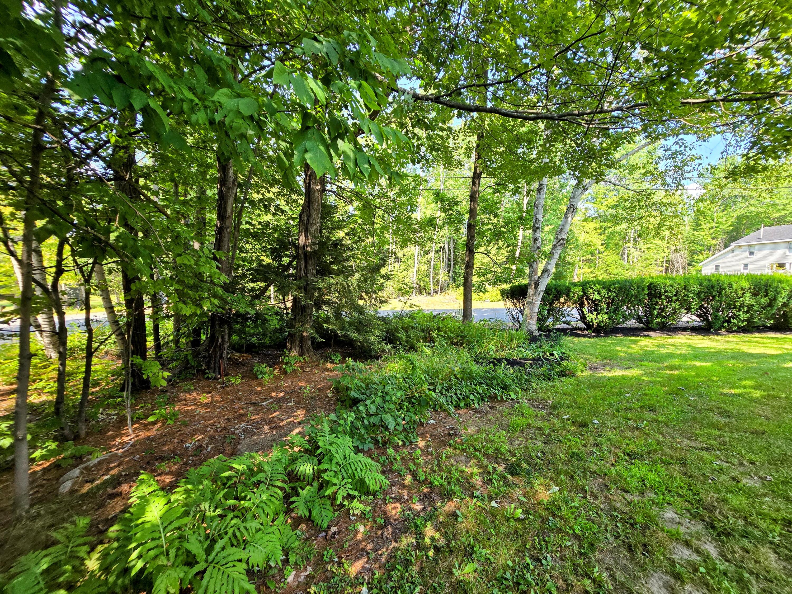 39 Woodman Hill Road Jay, ME 04239 - Photo 24 of 99 20250811_140635-EDIT