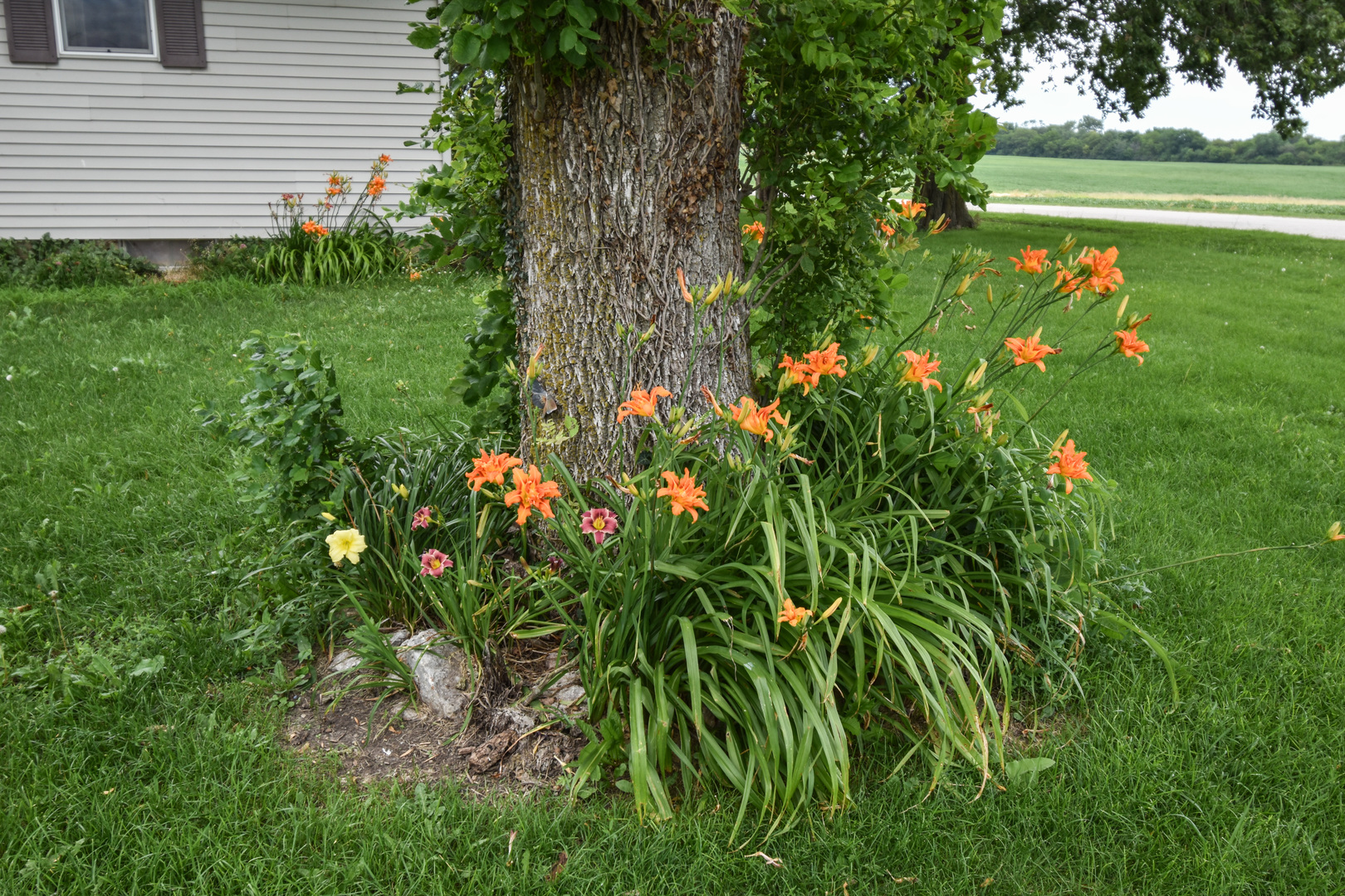 23451 North 1700 E Road Odell, IL 60460 - Photo 6 of 63