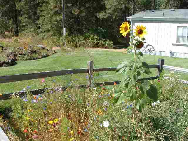 14922 South Carstens Road Edwall, WA 99008 - Photo 2 of 9