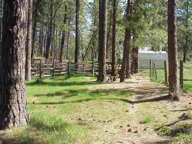 14922 South Carstens Road Edwall, WA 99008 - Photo 5 of 9