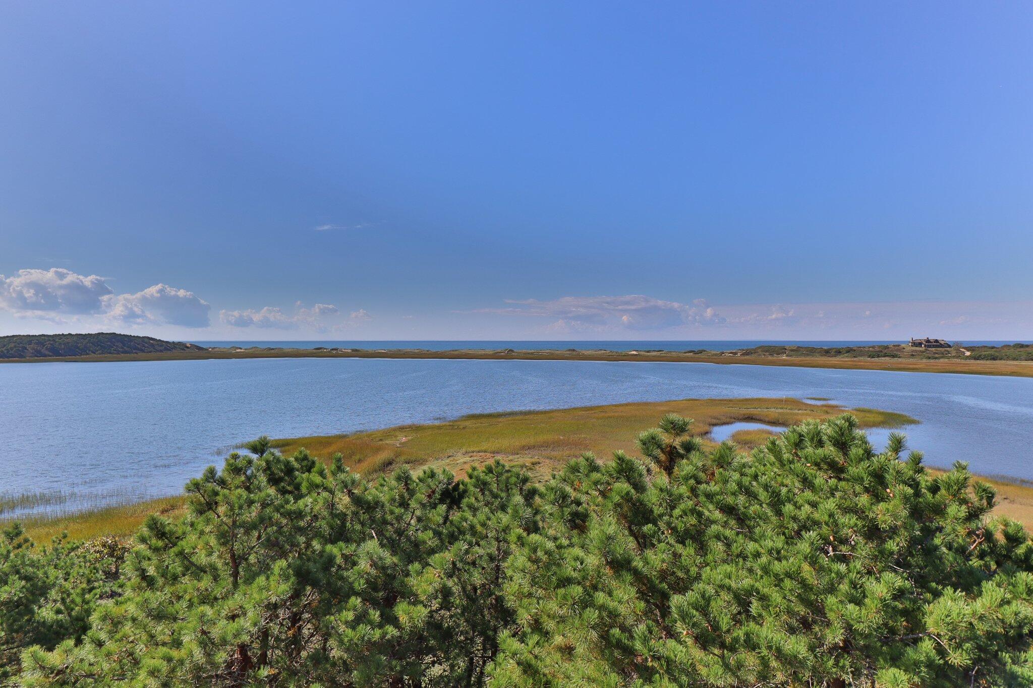 1035 Chequessett Neck Road Wellfleet, MA 02667 - Photo 69 of 86 78-web-or-mls-1035-chequessett-neck-rd