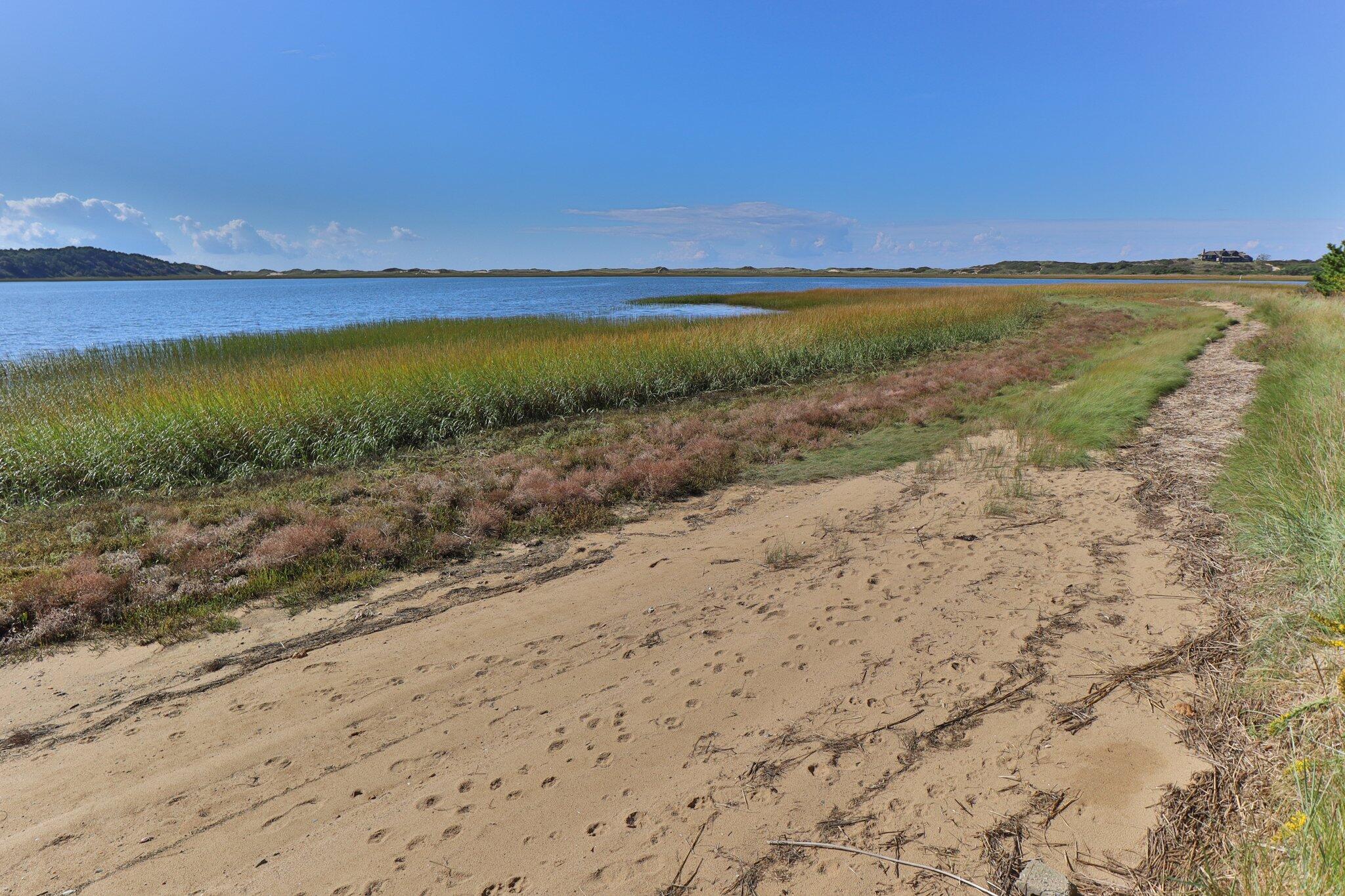 1035 Chequessett Neck Road Wellfleet, MA 02667 - Photo 74 of 86 84-web-or-mls-1035-chequessett-neck-rd