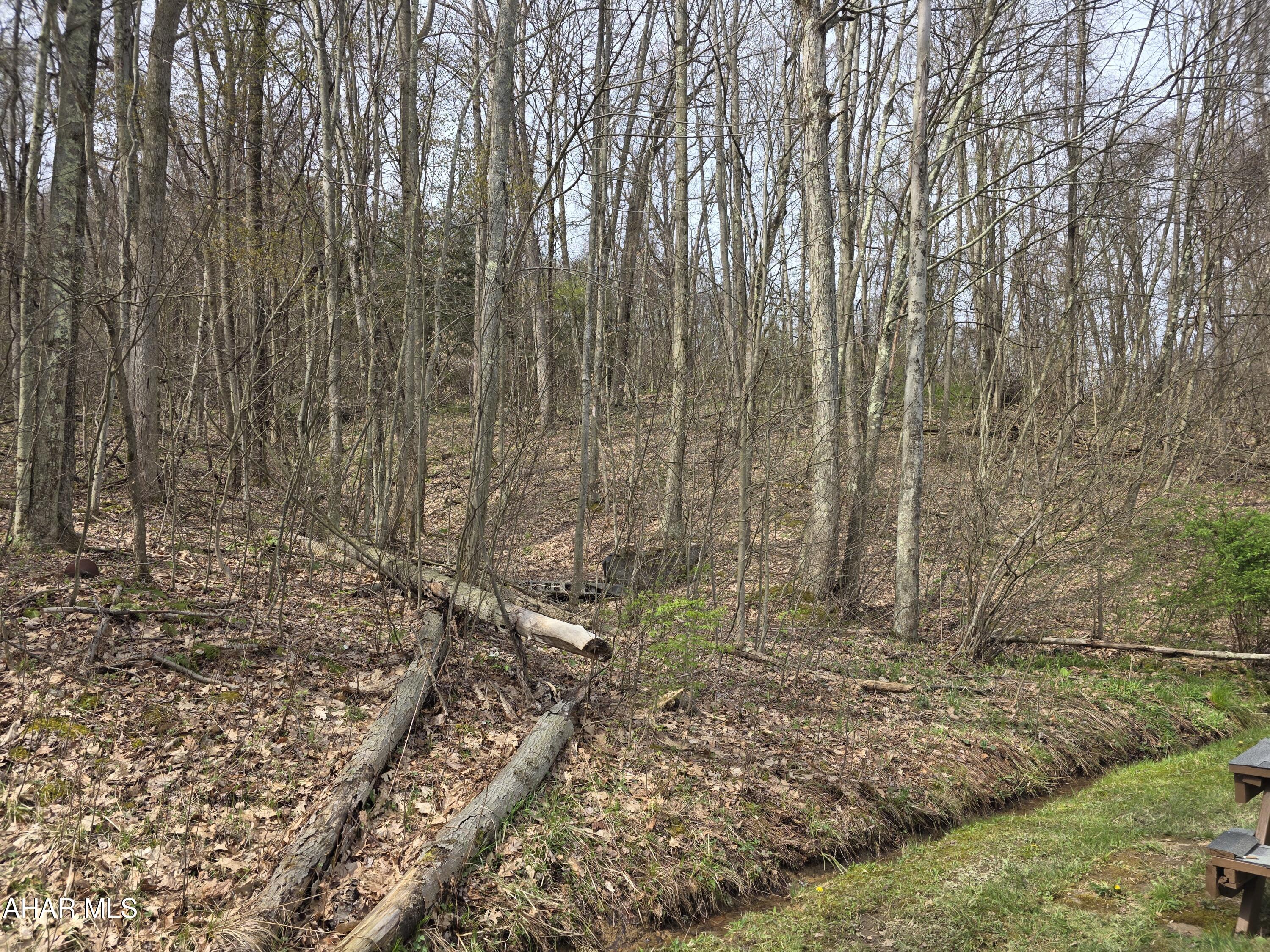 0 Sylvis Road Westover, PA 16692 - Photo 7 of 8