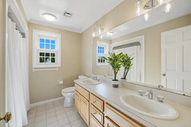 a bathroom with a double vanity sink toilet and a mirror