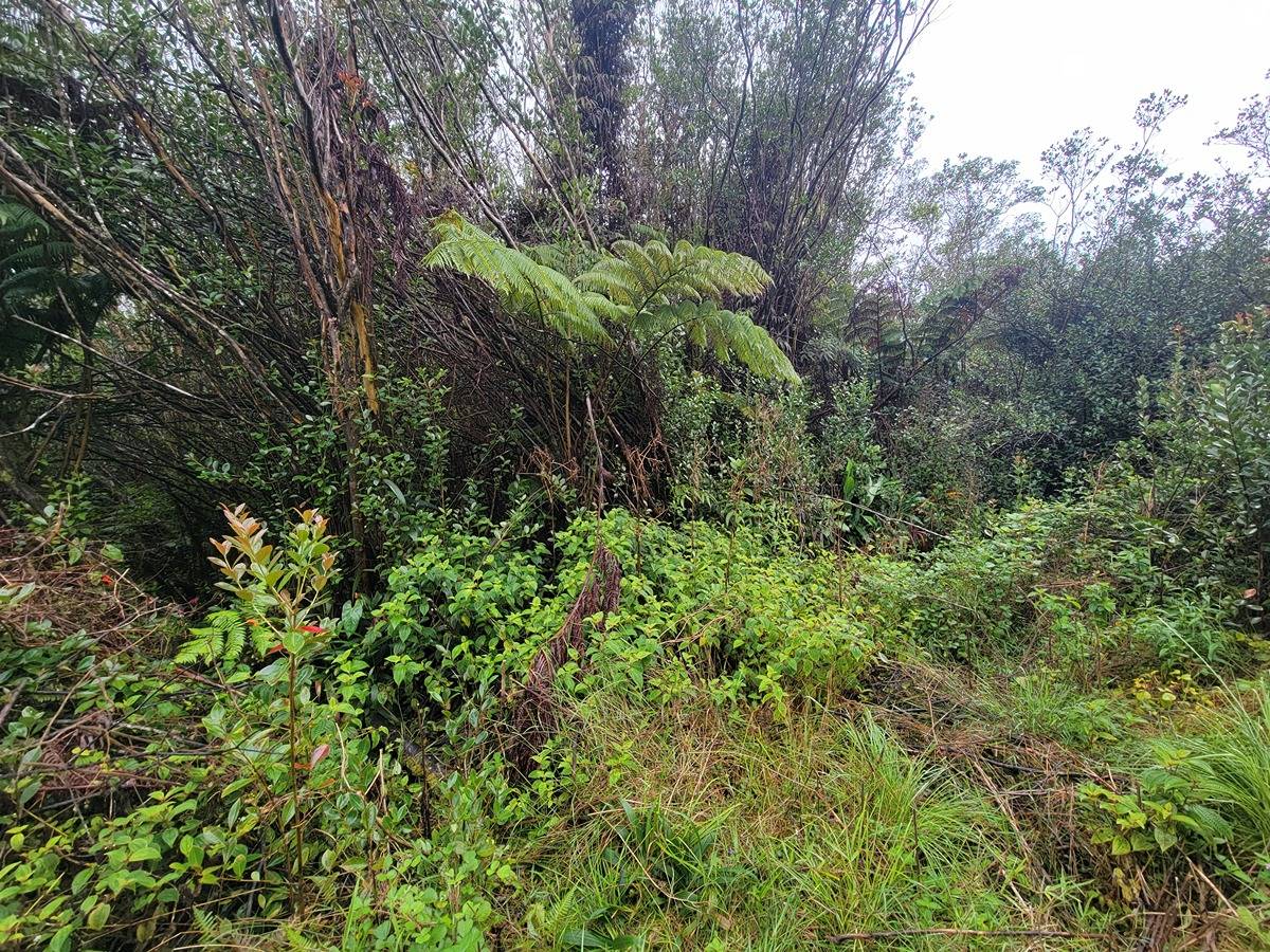 18-2003 Lot 1004 16th Rd  