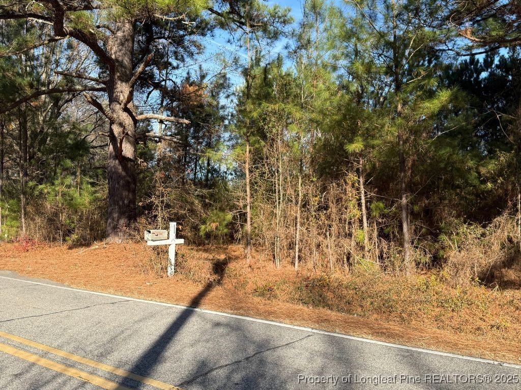 3237 Old Stage Road South Erwin, NC 28339 - Photo 2 of 6 a view of yard along with trees