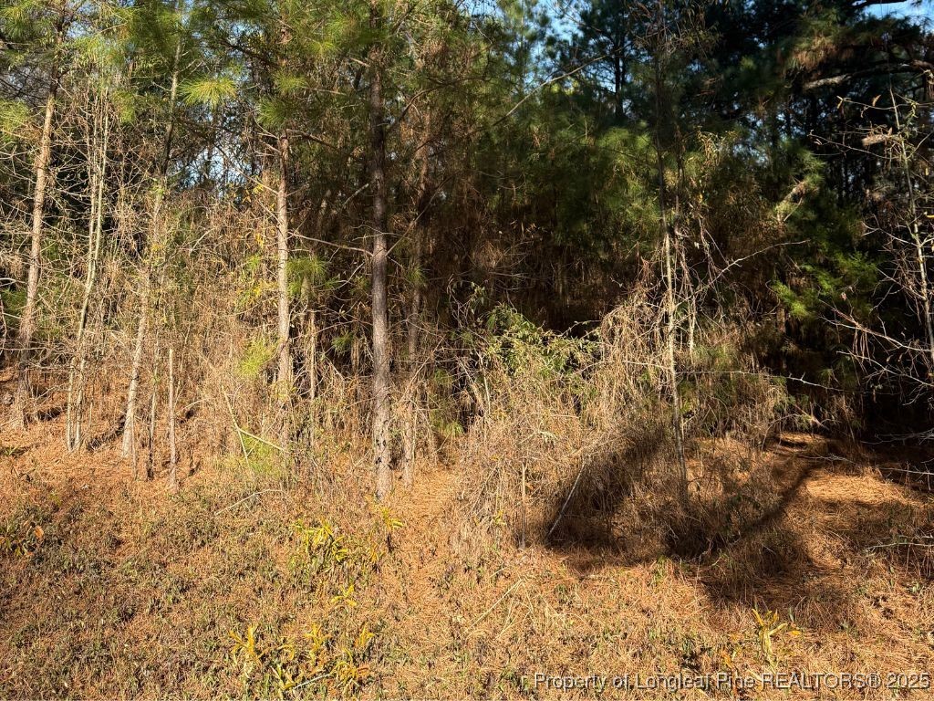 3237 Old Stage Road South Erwin, NC 28339 - Photo 3 of 6