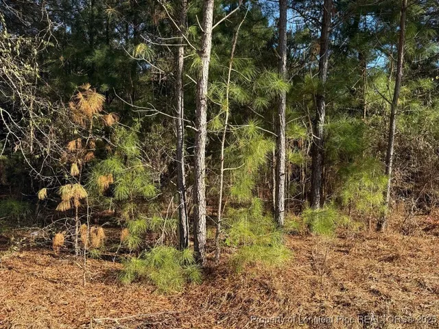 $65,000 | 3237 Old Stage Road South, Erwin, NC 28339