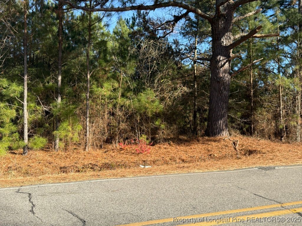 3237 Old Stage Road South Erwin, NC 28339 - Photo 5 of 6 a view of a yard covered with snow