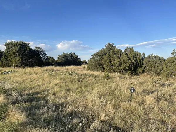 $20,990 | L10-b7 L10-b7 Orlando Way, Walsenburg, CO 81089
