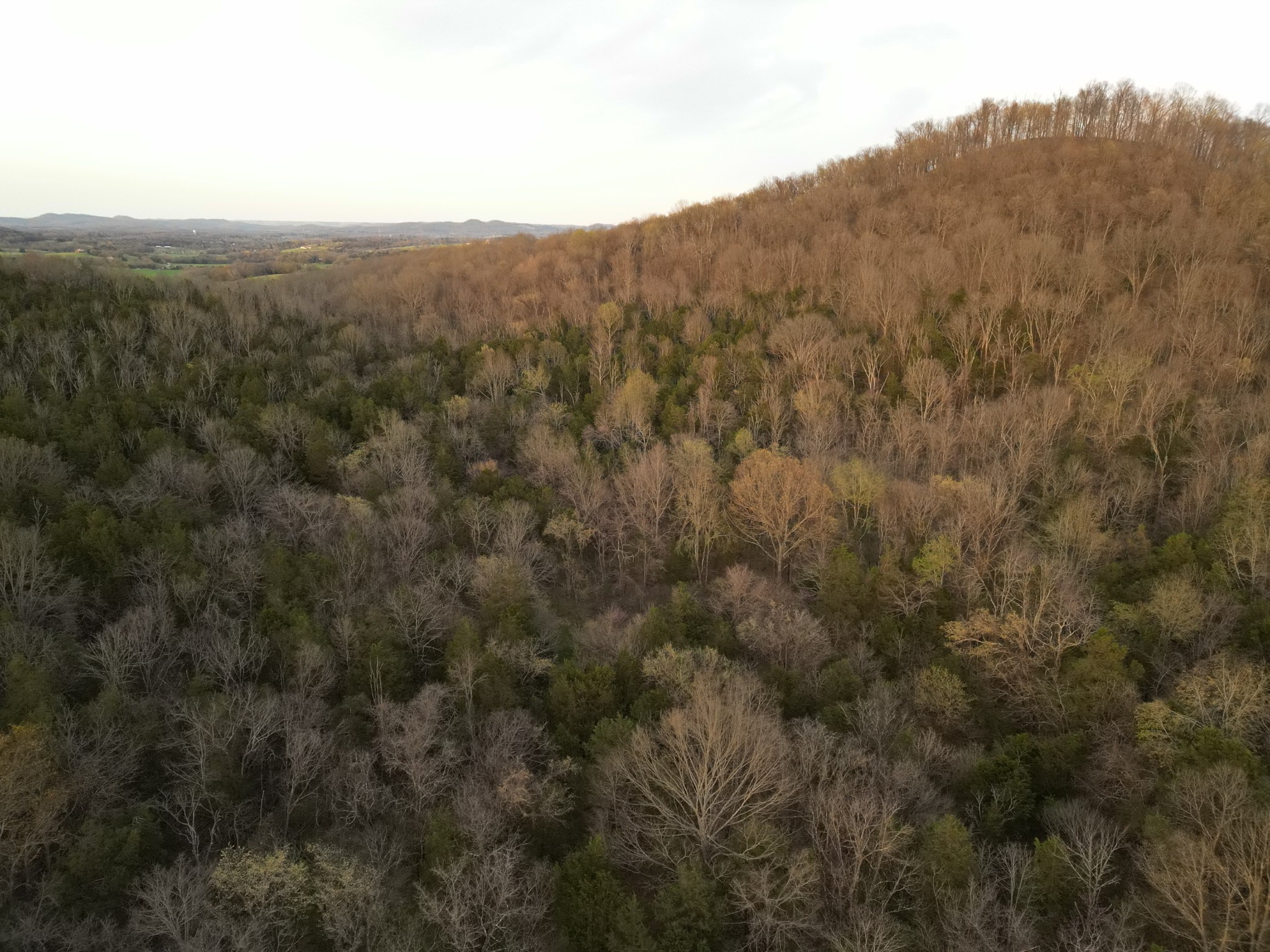 0 Rock Springs Road Watertown, TN 37184 - Photo 23 of 27 Gallery Image 23