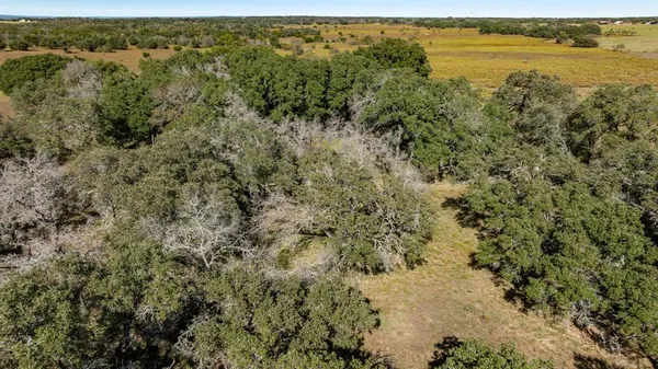an aerial view of forest