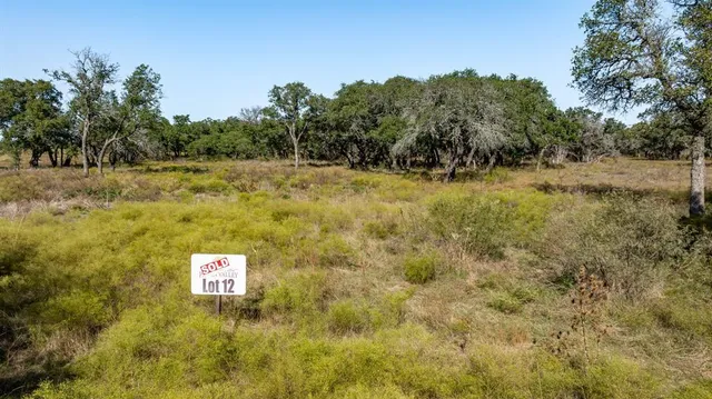 a view of an ocean and beach