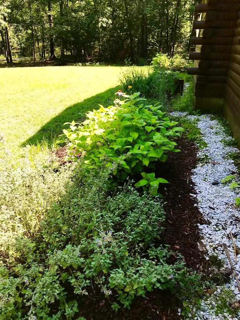 244 Lindsey Road Wells, ME 04090 - Photo 8 of 46 y6