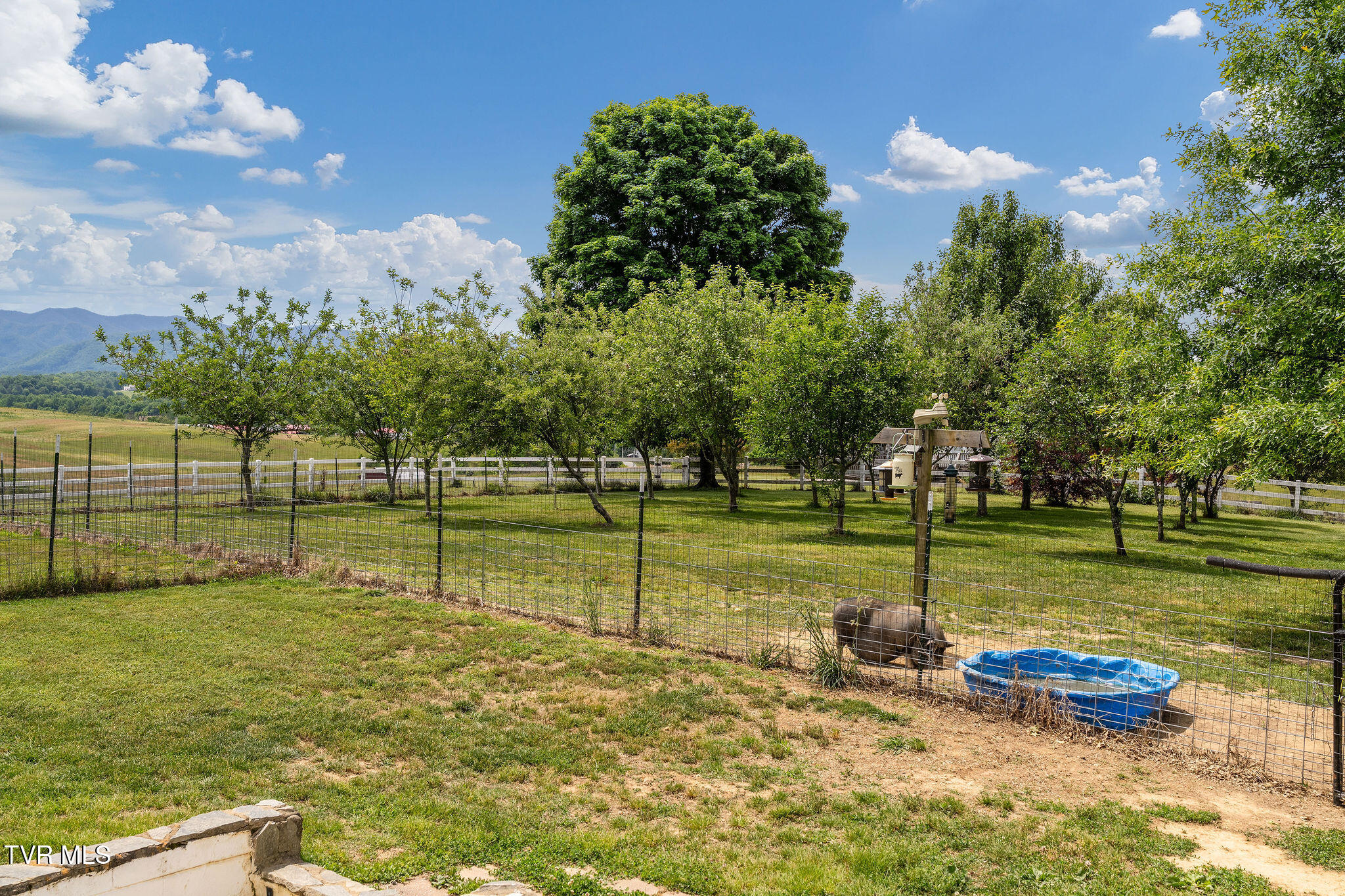 1385 Wilhoit Road Chuckey, TN 37641 - Photo 80 of 126 DSC08882