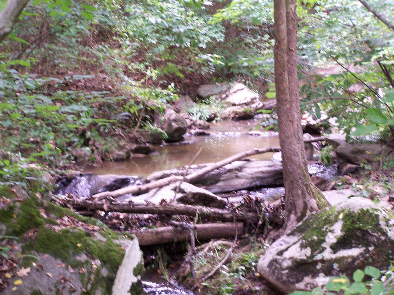 Small Stream