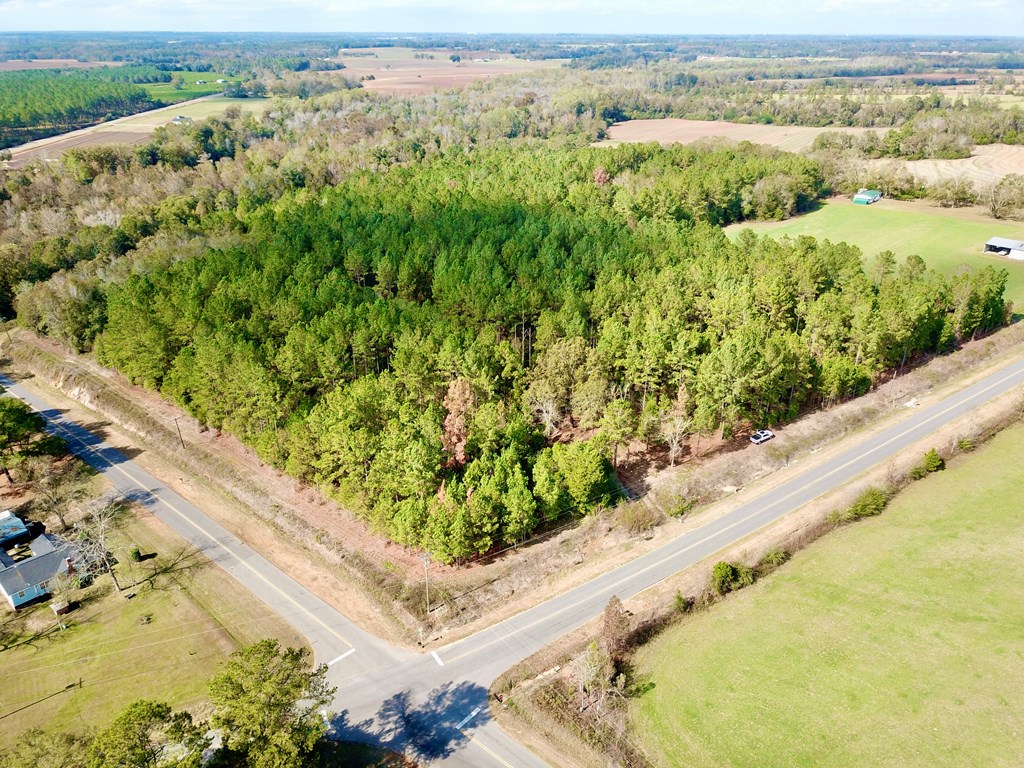 3-acres Lucy Grade Road Ashford, AL 36312 - Photo 13 of 18