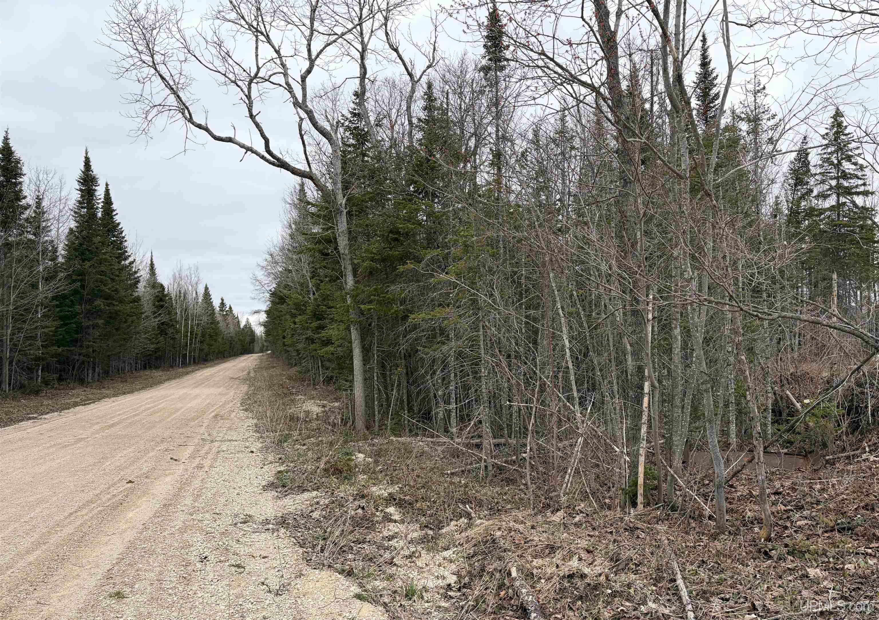 Tbd Cooper Road Gulliver, MI 49840 - Photo 3 of 3