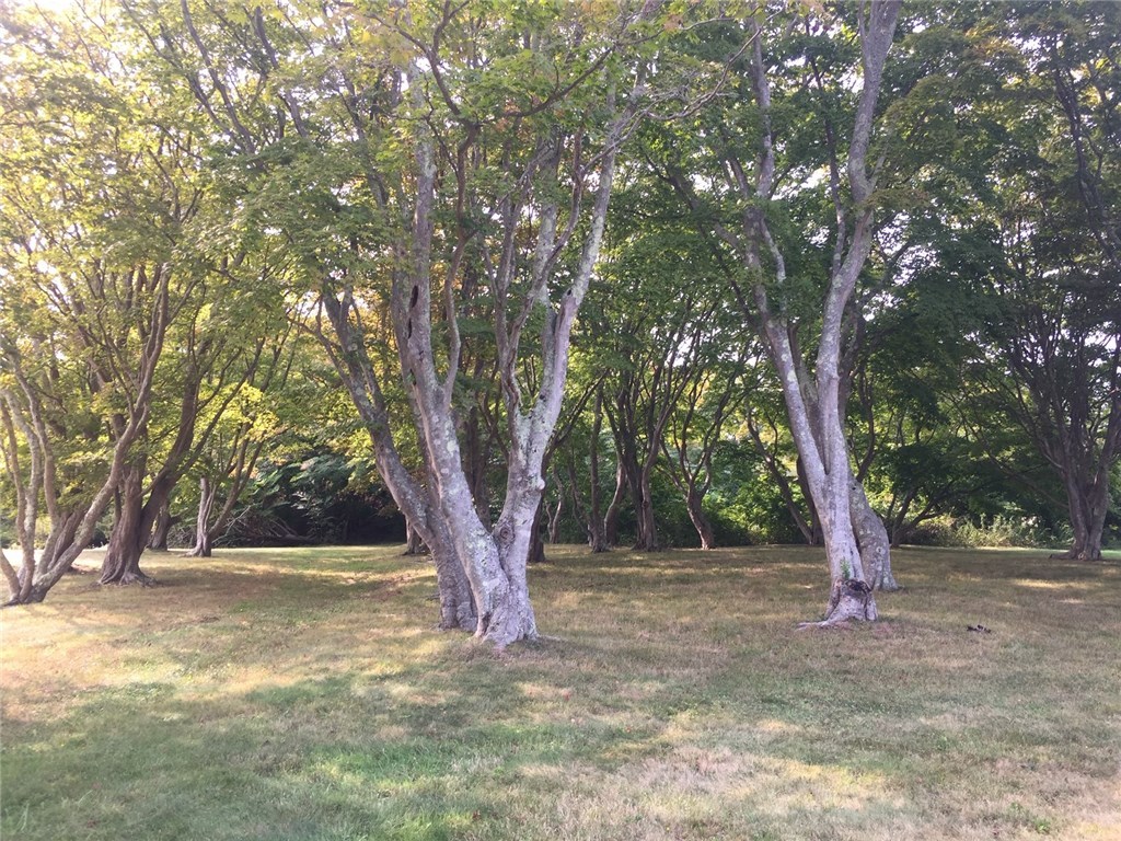 54 Hammersmith Road Newport, RI 02840 - Photo 11 of 17 This 3.67acre property includes a Chinese Maple Grove.