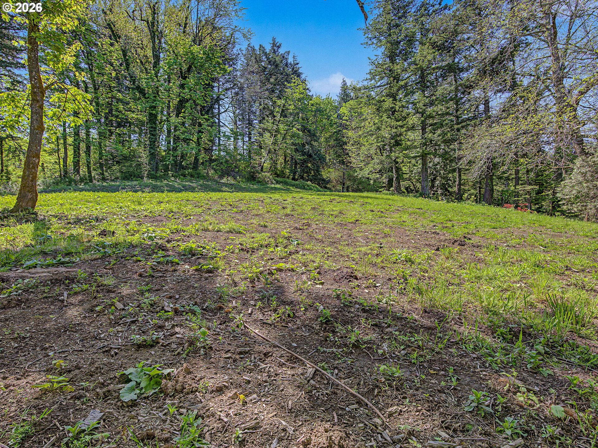 2445 Northeast Corbett Hill Road Corbett, OR 97019 - Photo 17 of 31 a view of outdoor space with trees all around