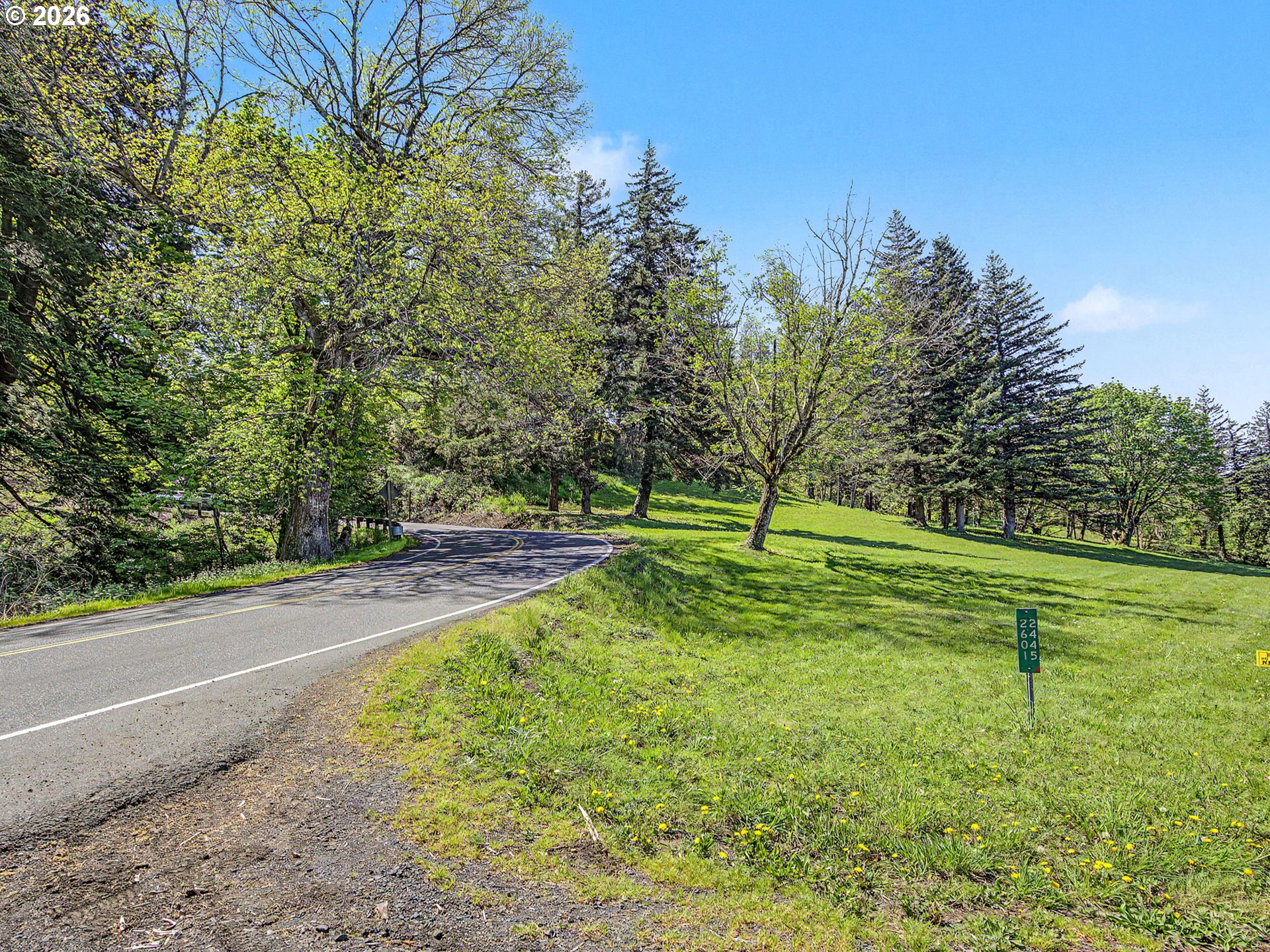 2445 Northeast Corbett Hill Road Corbett, OR 97019 - Photo 25 of 31 a view of a park with large trees