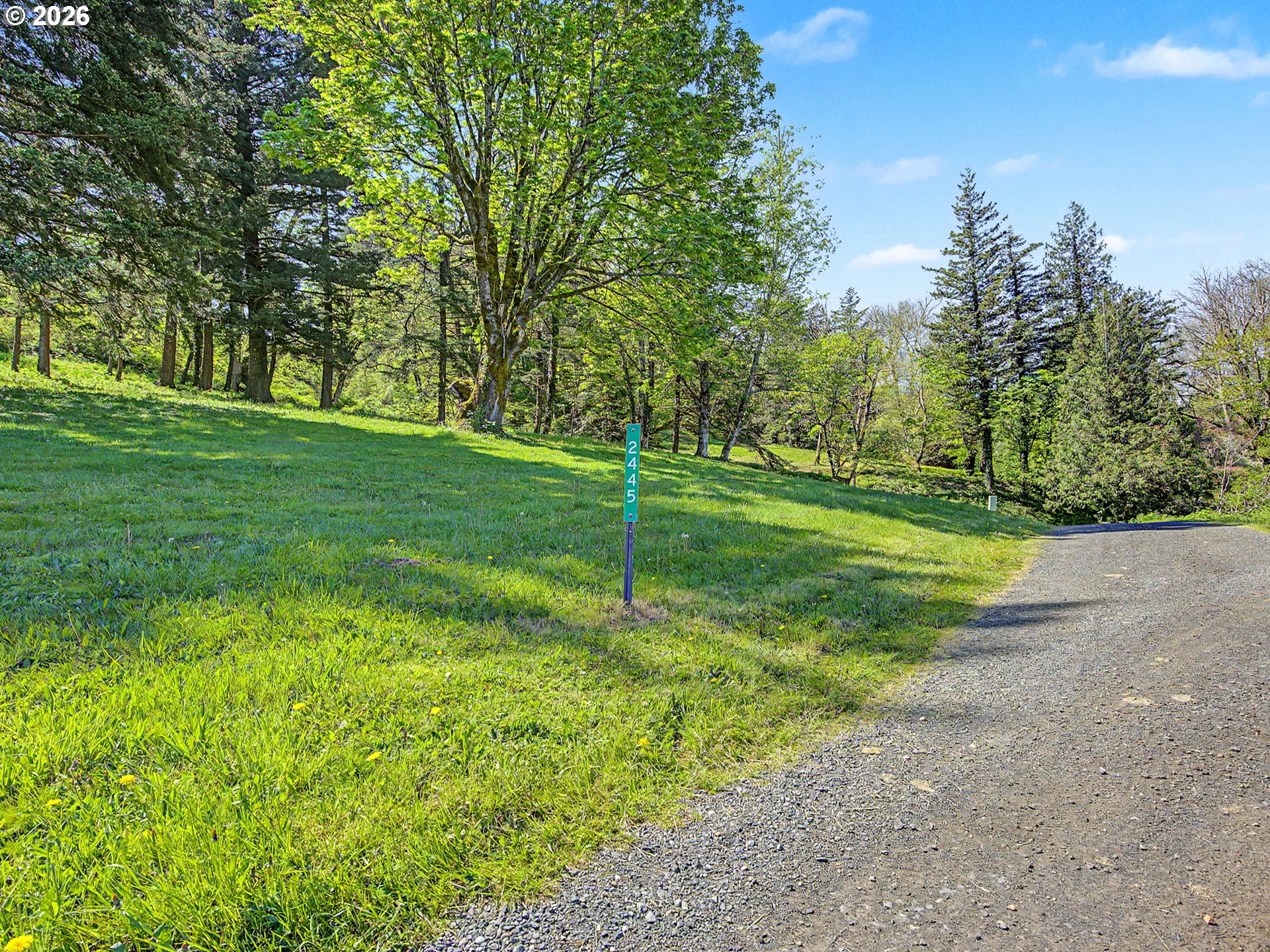 2445 Northeast Corbett Hill Road Corbett, OR 97019 - Photo 27 of 31 a view of a park with a tree