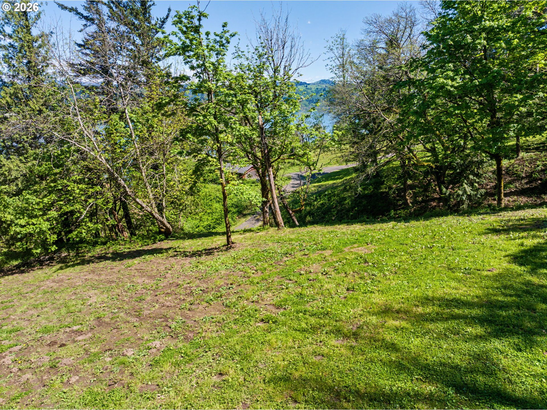 2445 Northeast Corbett Hill Road Corbett, OR 97019 - Photo 3 of 31 a view of a yard with large trees
