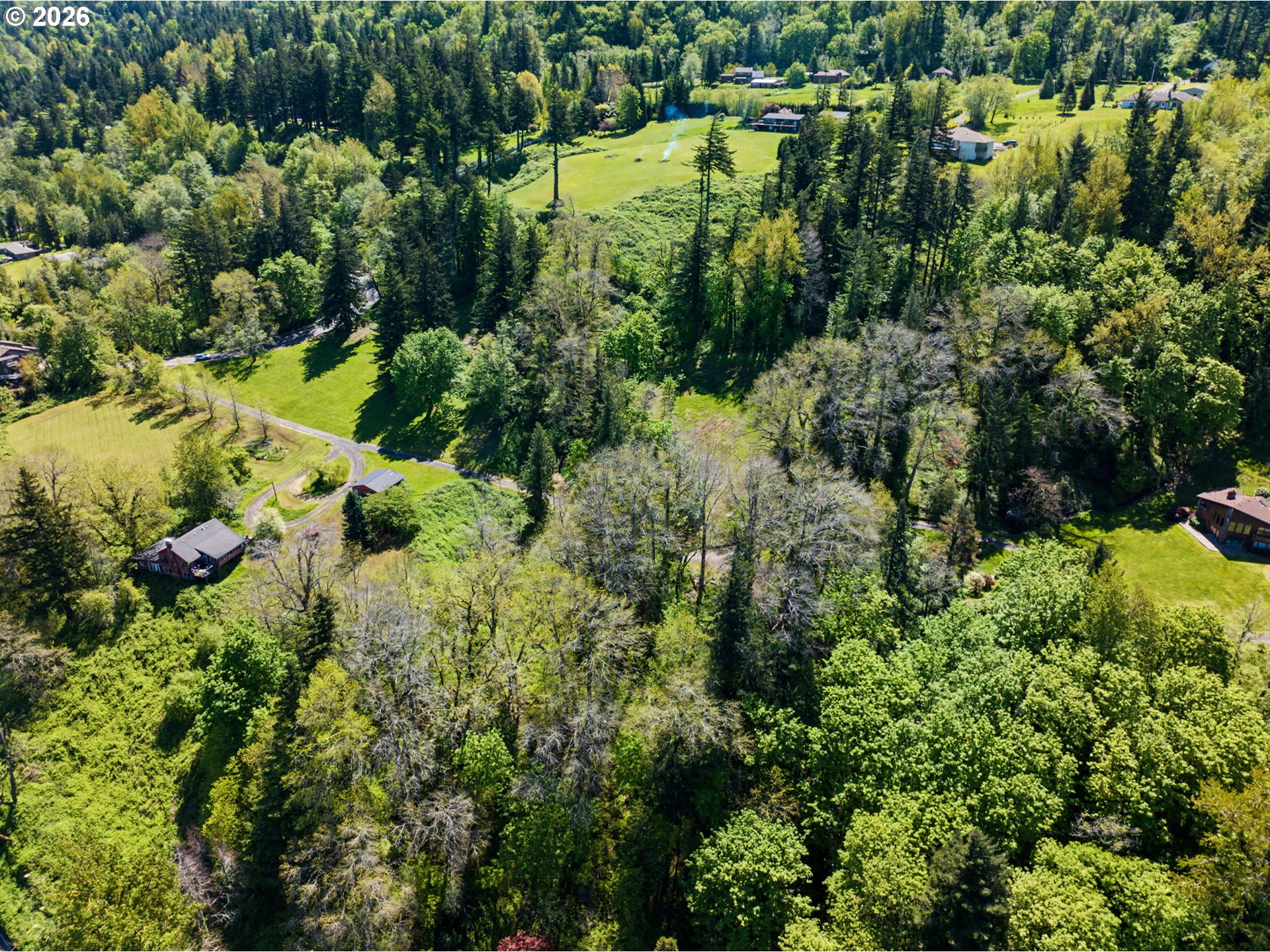 2445 Northeast Corbett Hill Road Corbett, OR 97019 - Photo 6 of 31 a view of a garden with a tree