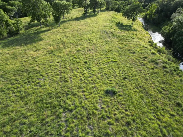 a view of a yard with plants