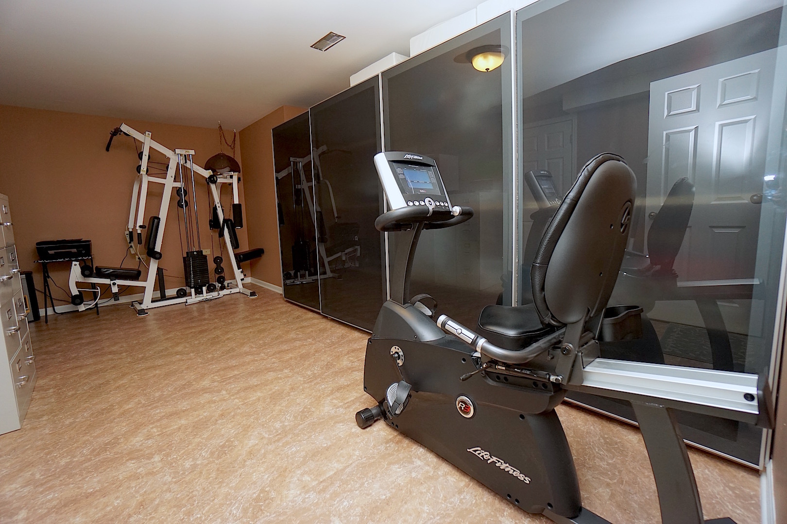 1611 Canyon Run Road Naperville, IL 60565 - Photo 22 of 23 a room with gym equipment and mirror