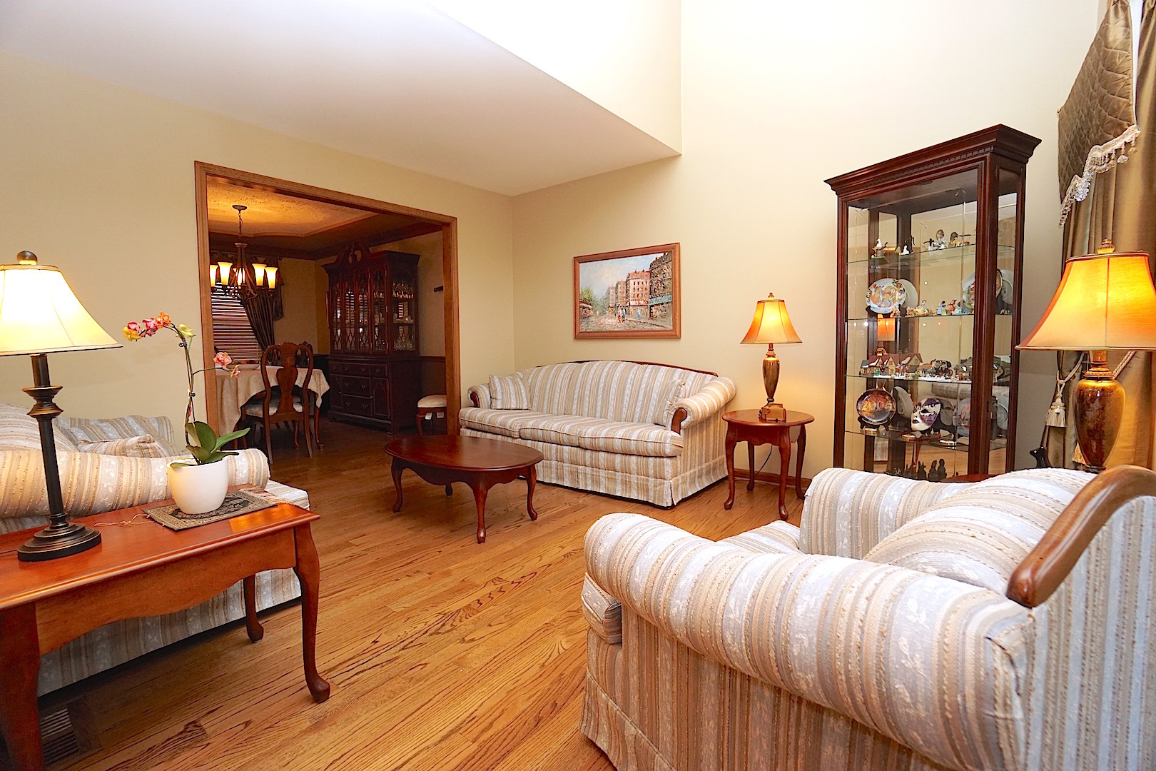 1611 Canyon Run Road Naperville, IL 60565 - Photo 4 of 23 a living room with furniture and a lamp